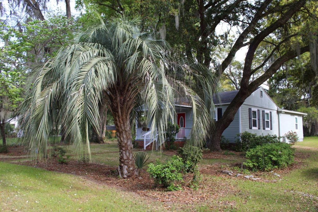 100% Renovated Home in Downtown Beaufort | True North ...